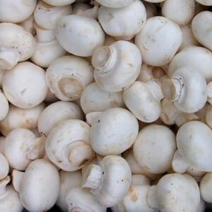 Шампиньоны (Россия)